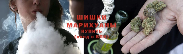 молекула духа Алзамай