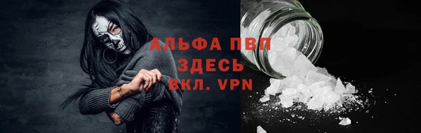 метадон Алексин