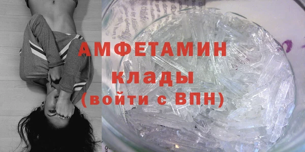 индика Касимов