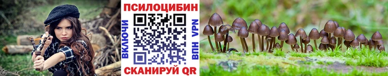Галлюциногенные грибы GOLDEN TEACHER  наркота  Югорск 